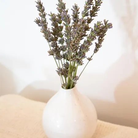 Petit Secret - Coeur De Provence - 4 Personnes